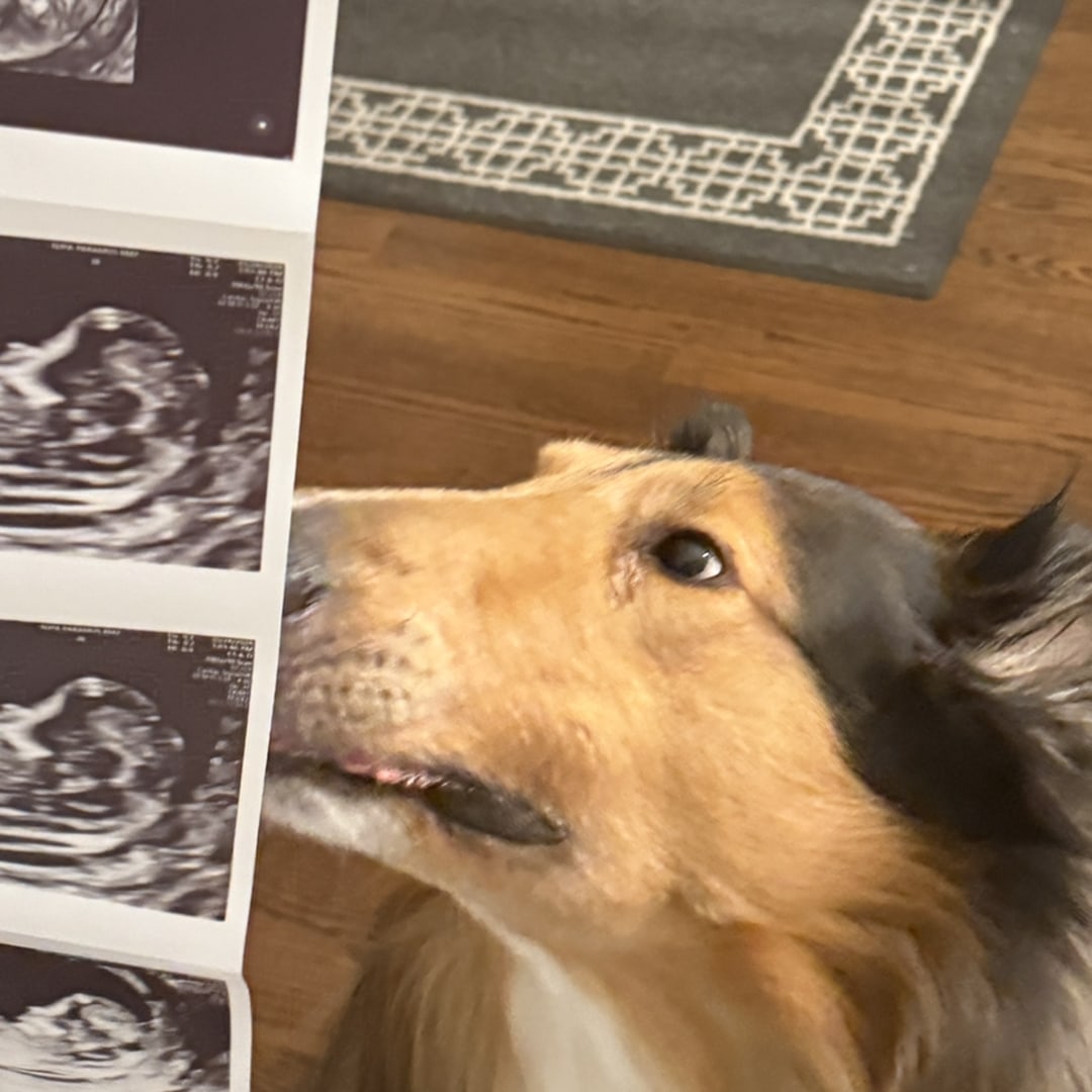 Photo shared by Matthew for their Babylist baby registry.