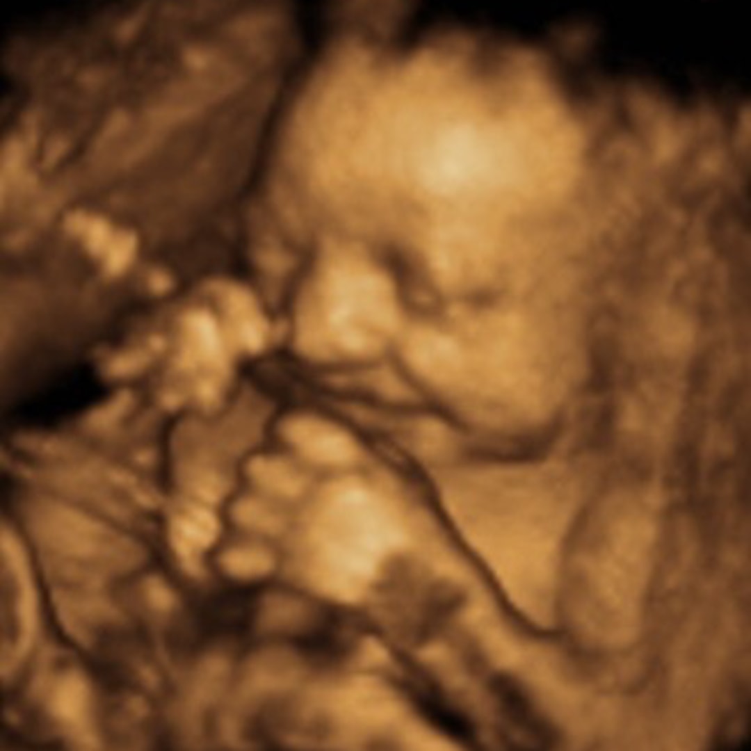 Photo shared by Sophie for their Babylist baby registry.