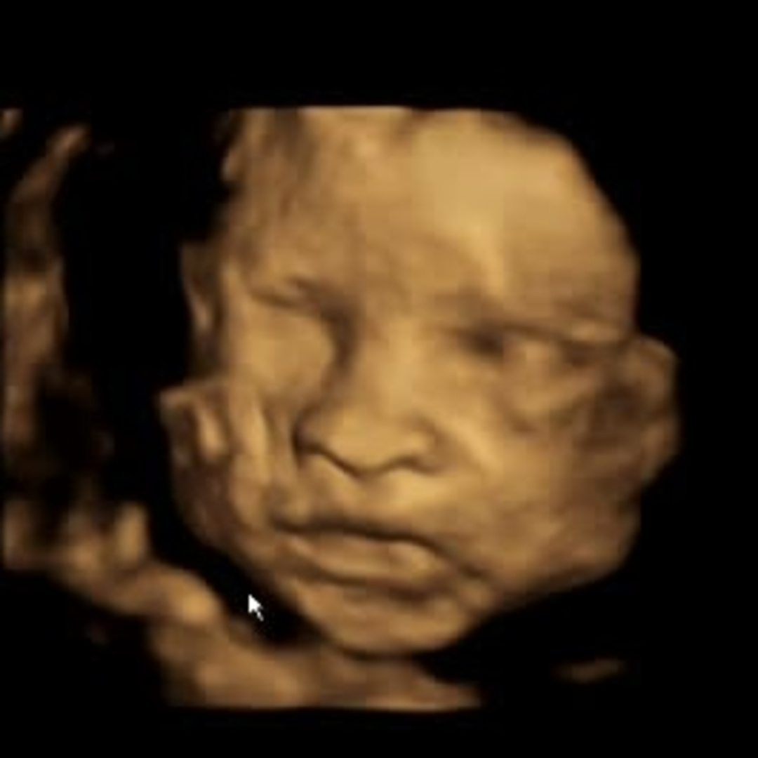 Photo shared by Samantha for their Babylist baby registry.