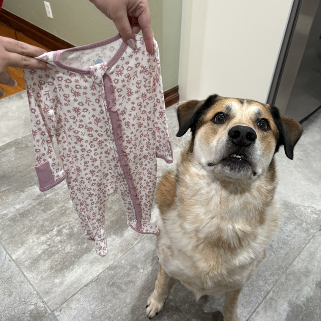 Photo shared by Emily for their Babylist baby registry.