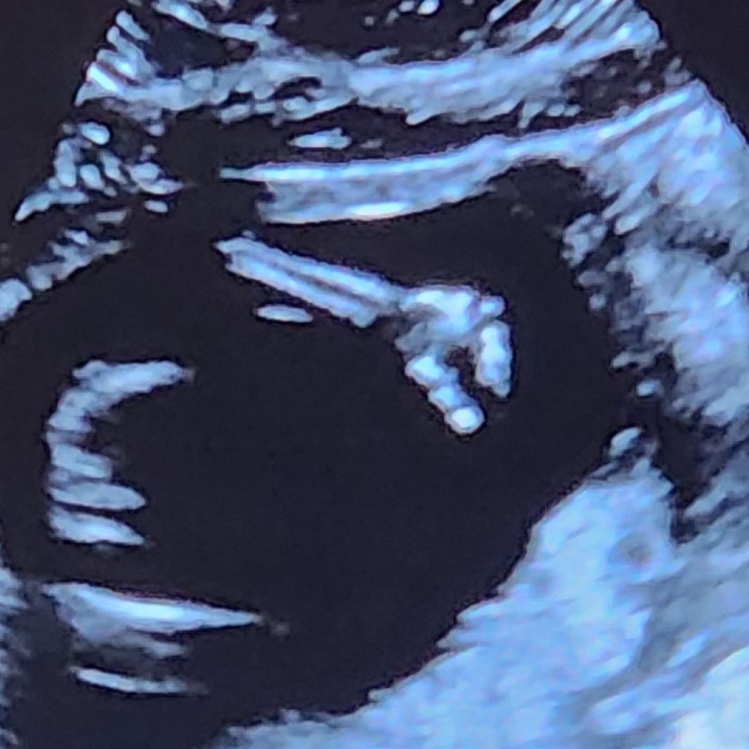 Photo shared by Danielle for their Babylist baby registry.