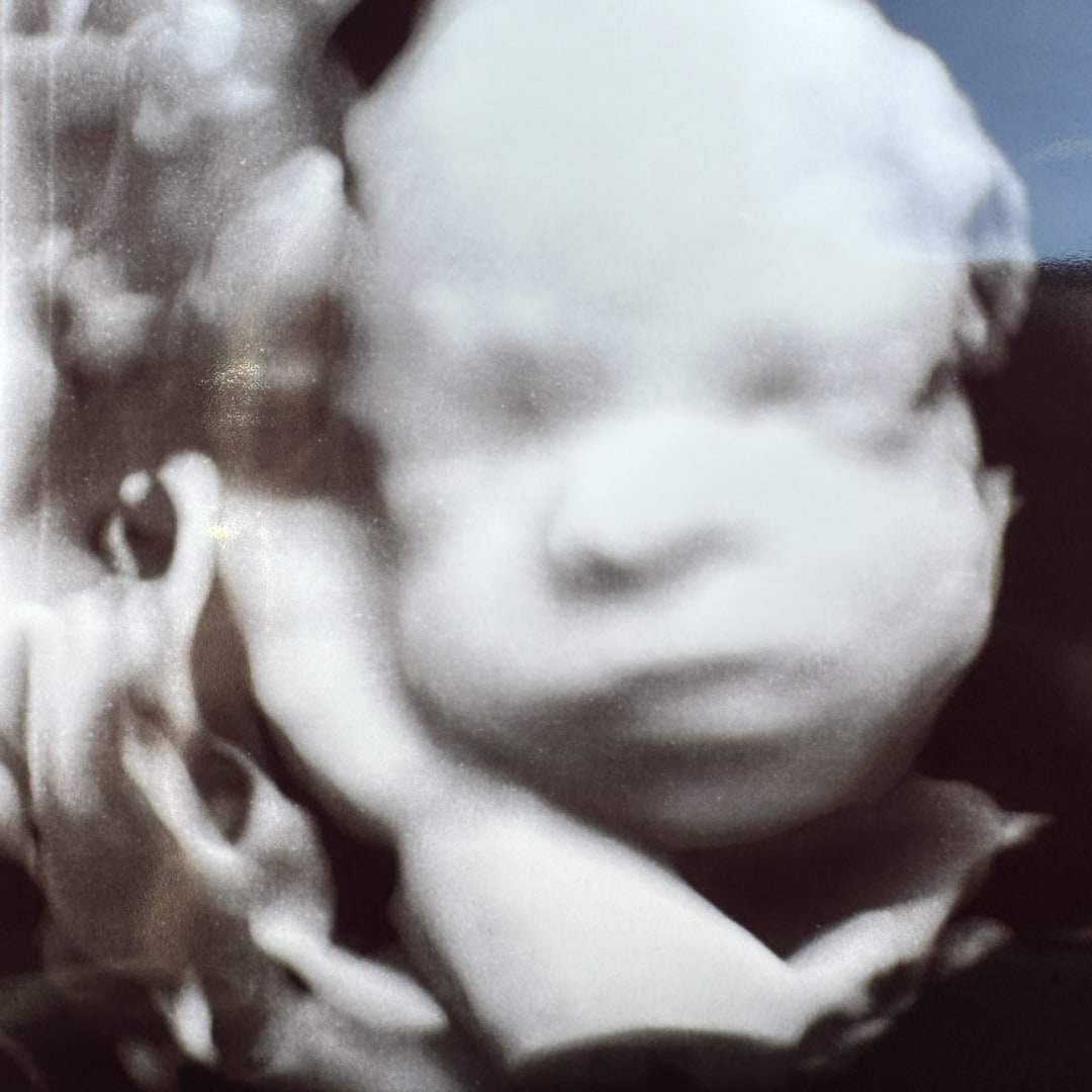 Photo shared by Kayla for their Babylist baby registry.