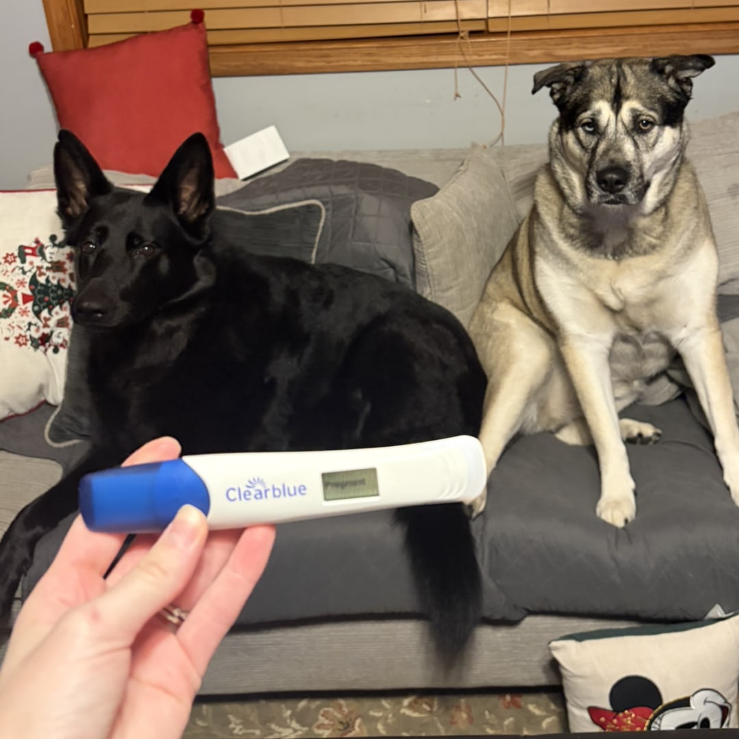 Photo shared by Morgan for their Babylist baby registry.