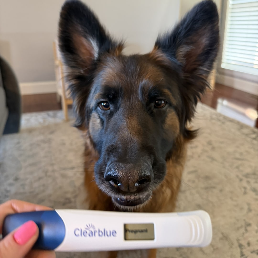 Photo shared by Grace for their Babylist baby registry.