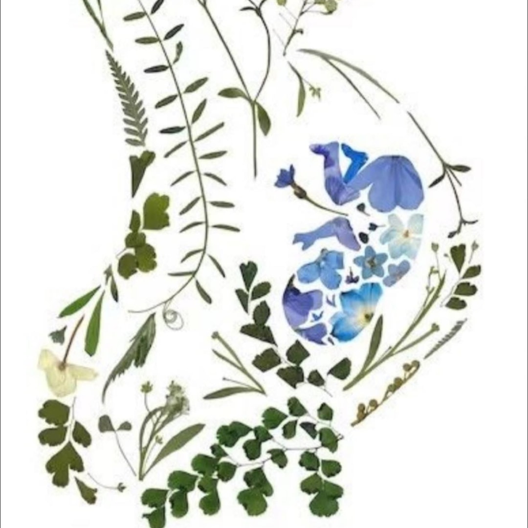 Photo shared by Jadin for their Babylist baby registry.