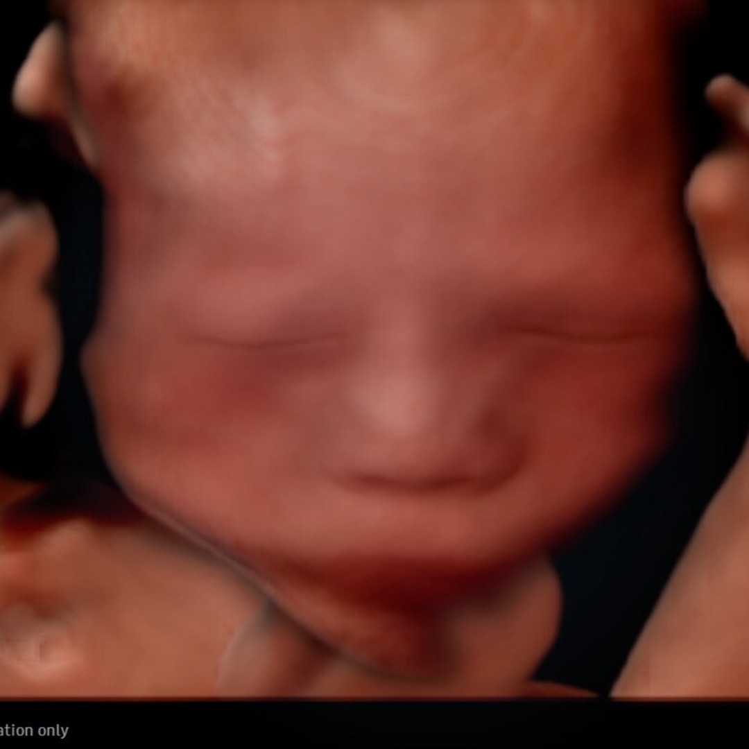 Photo shared by Cassandra for their Babylist baby registry.