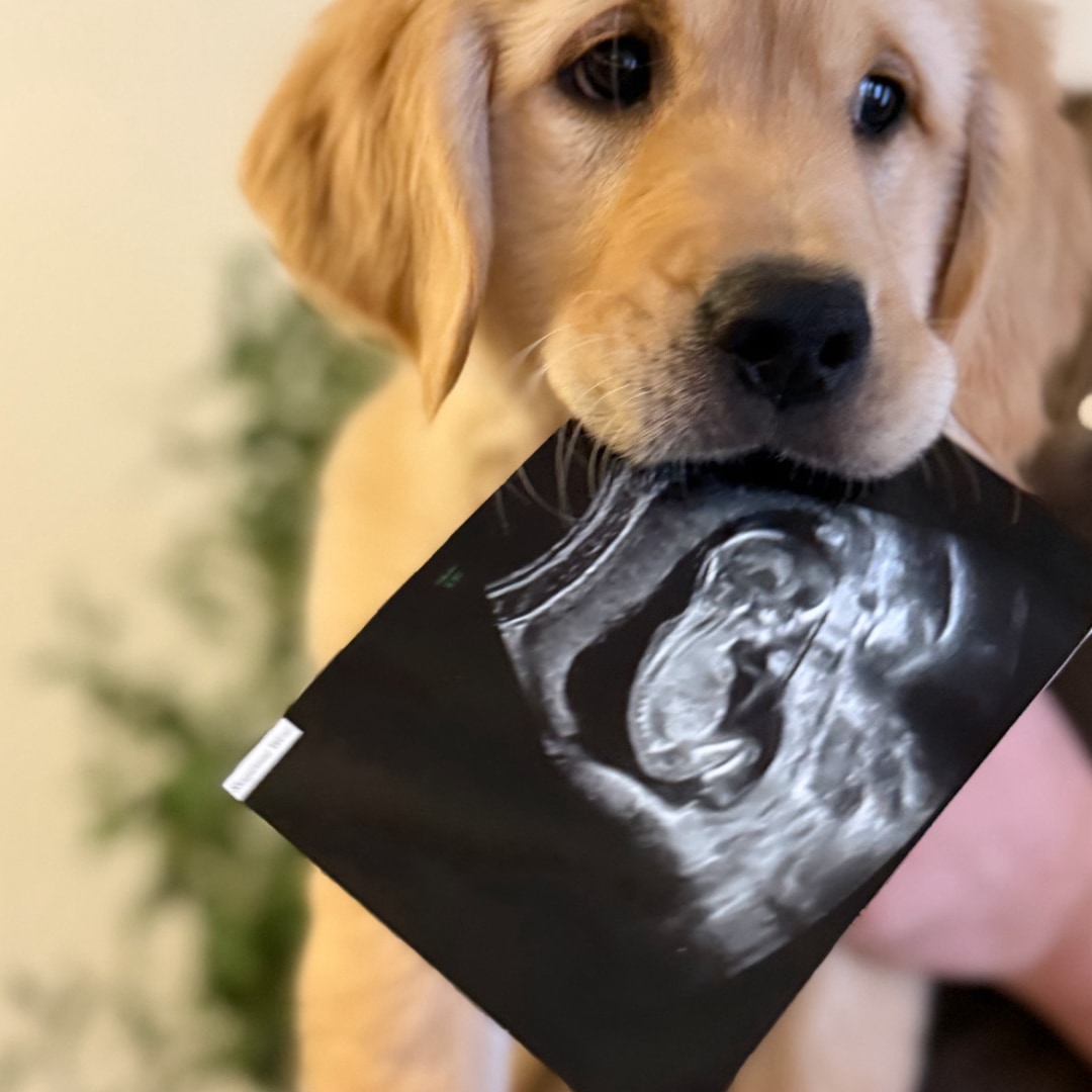 Photo shared by Alli for their Babylist baby registry.