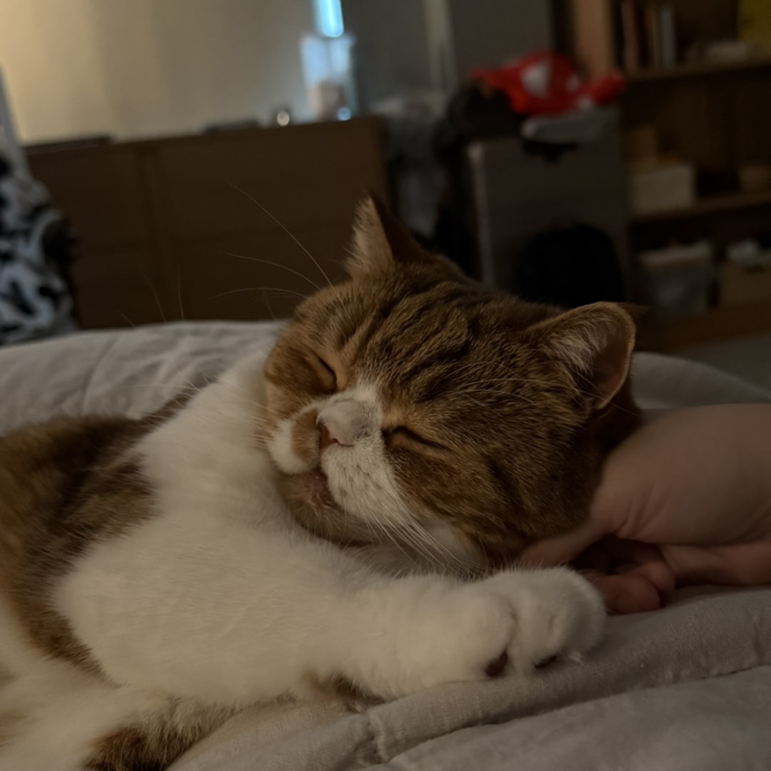 Photo shared by Sharon for their Babylist baby registry.