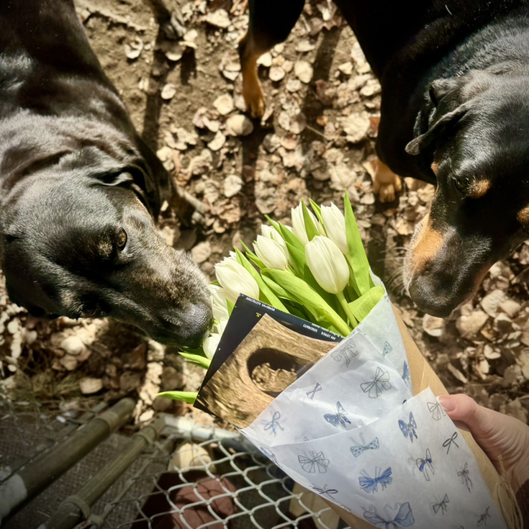 Photo shared by BriAnna for their Babylist baby registry.