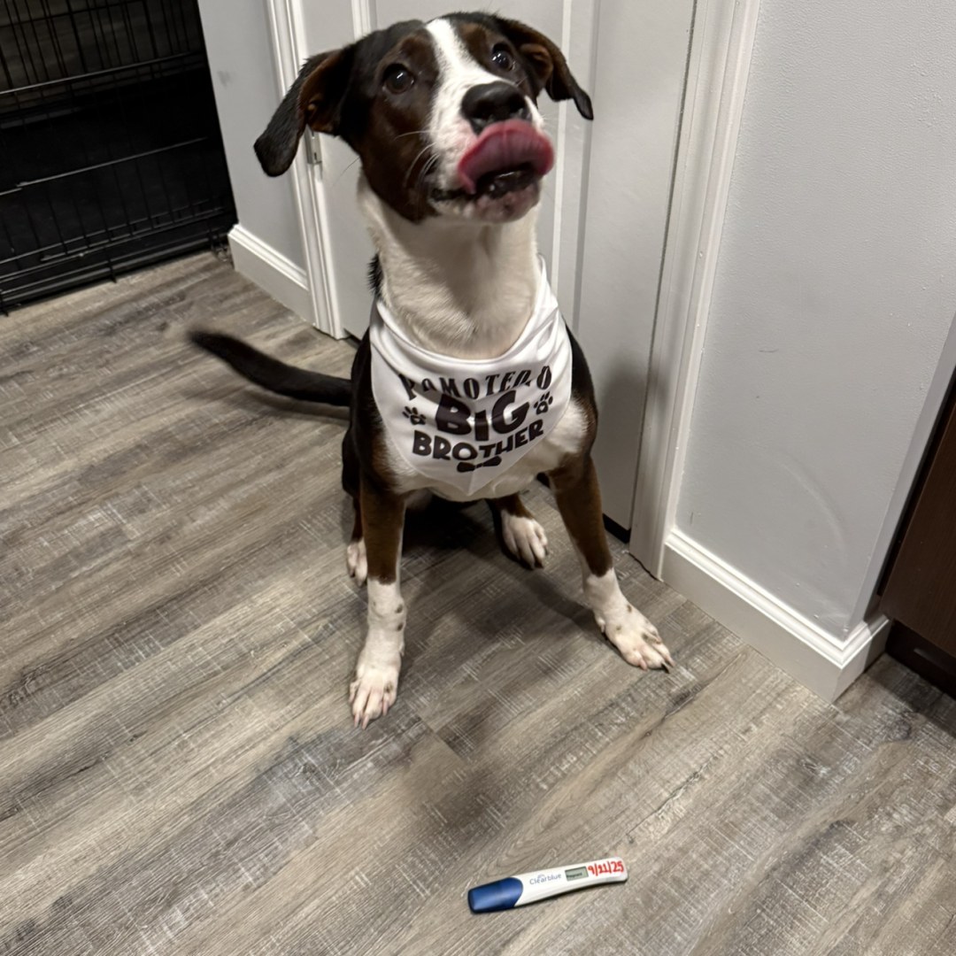 Photo shared by Anna for their Babylist baby registry.