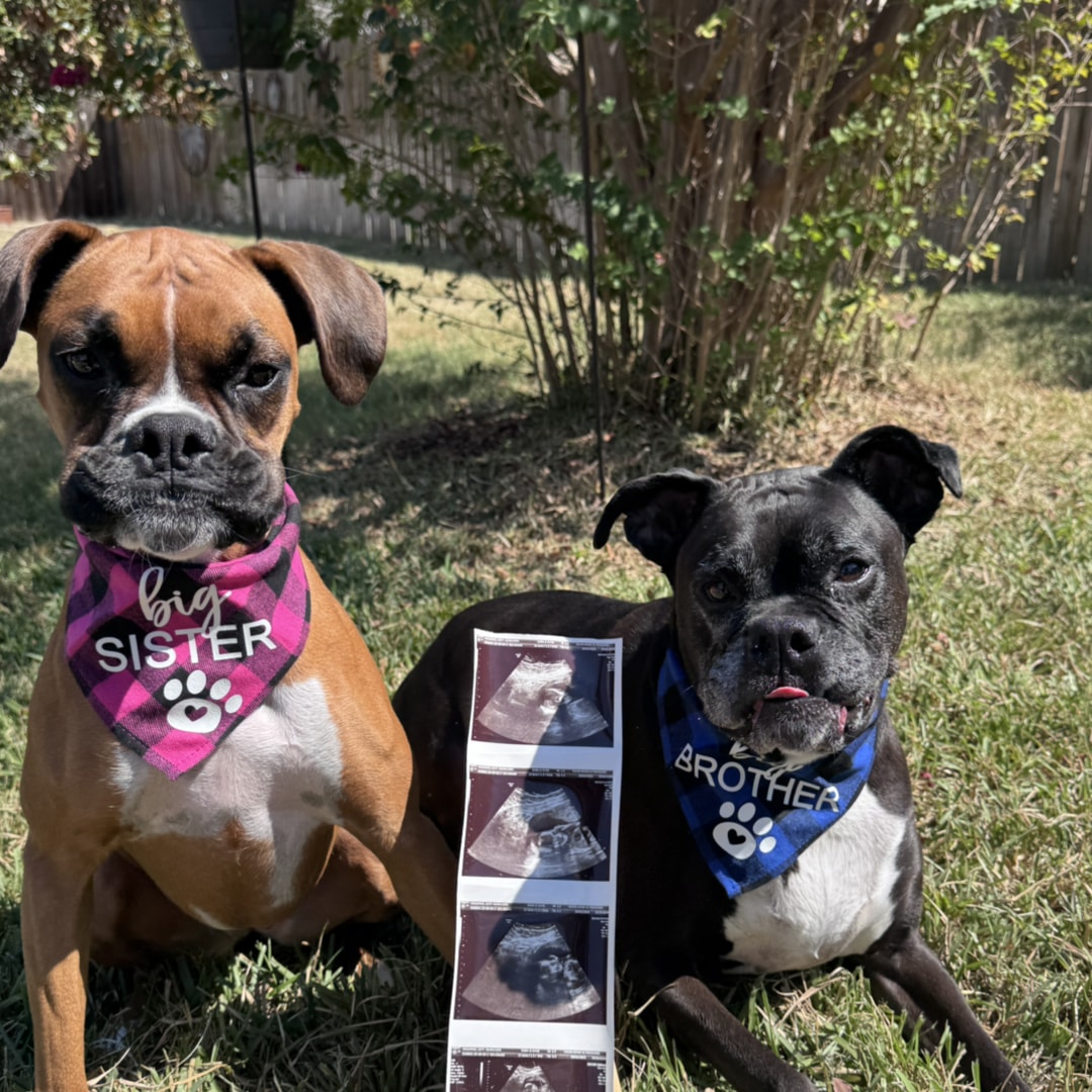 Photo shared by Katy for their Babylist baby registry.