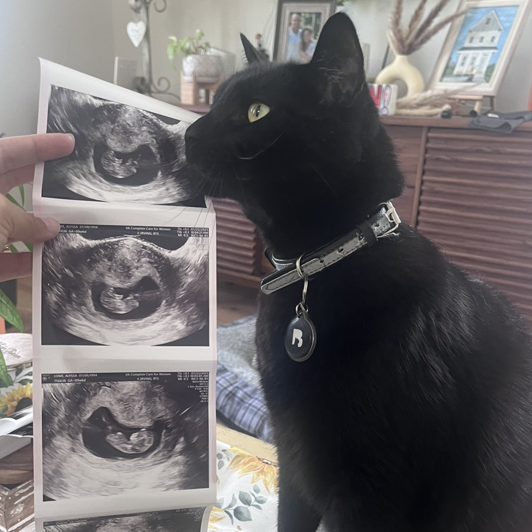 Photo shared by Alyssa for their Babylist baby registry.