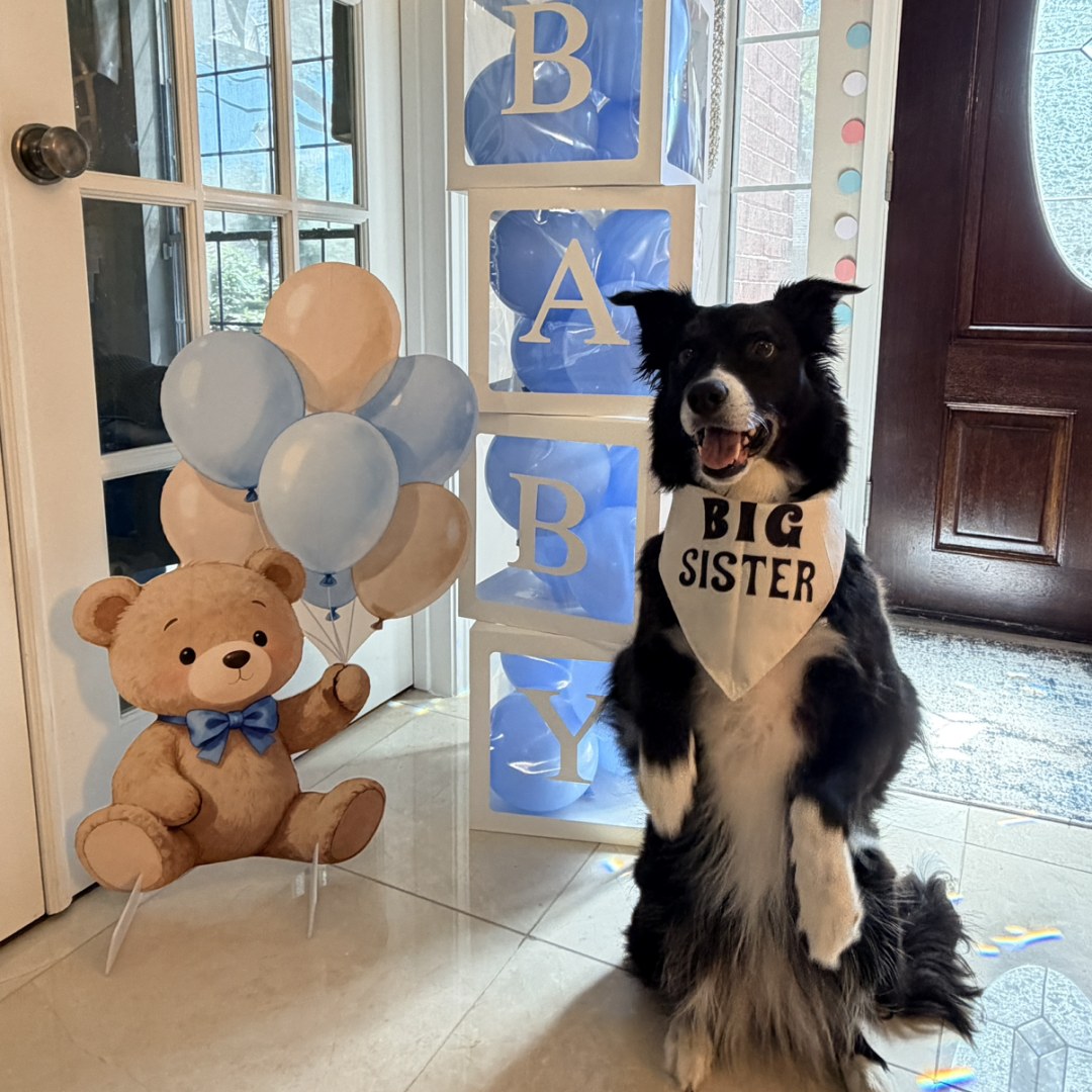 Photo shared by Laura for their Babylist baby registry.