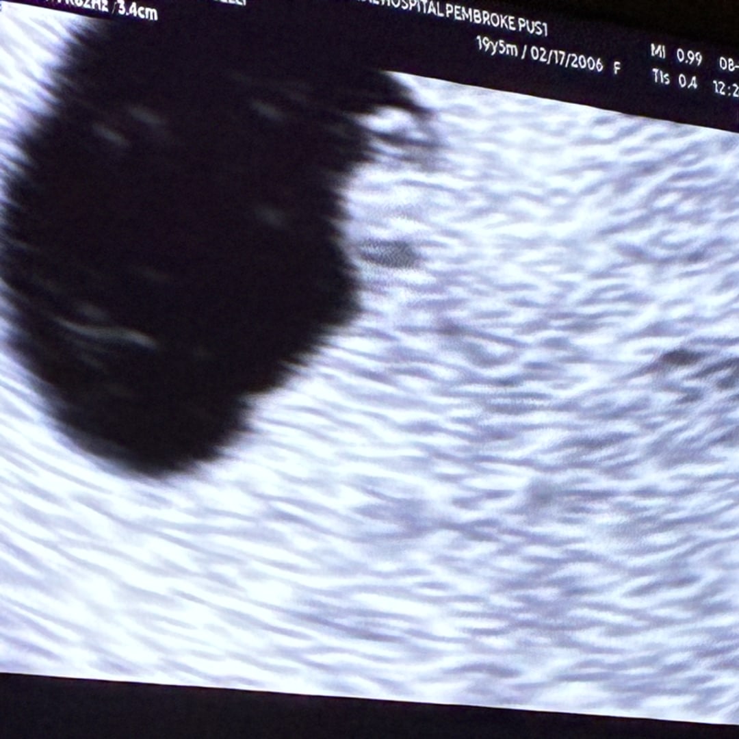 Photo shared by Daniella for their Babylist baby registry.