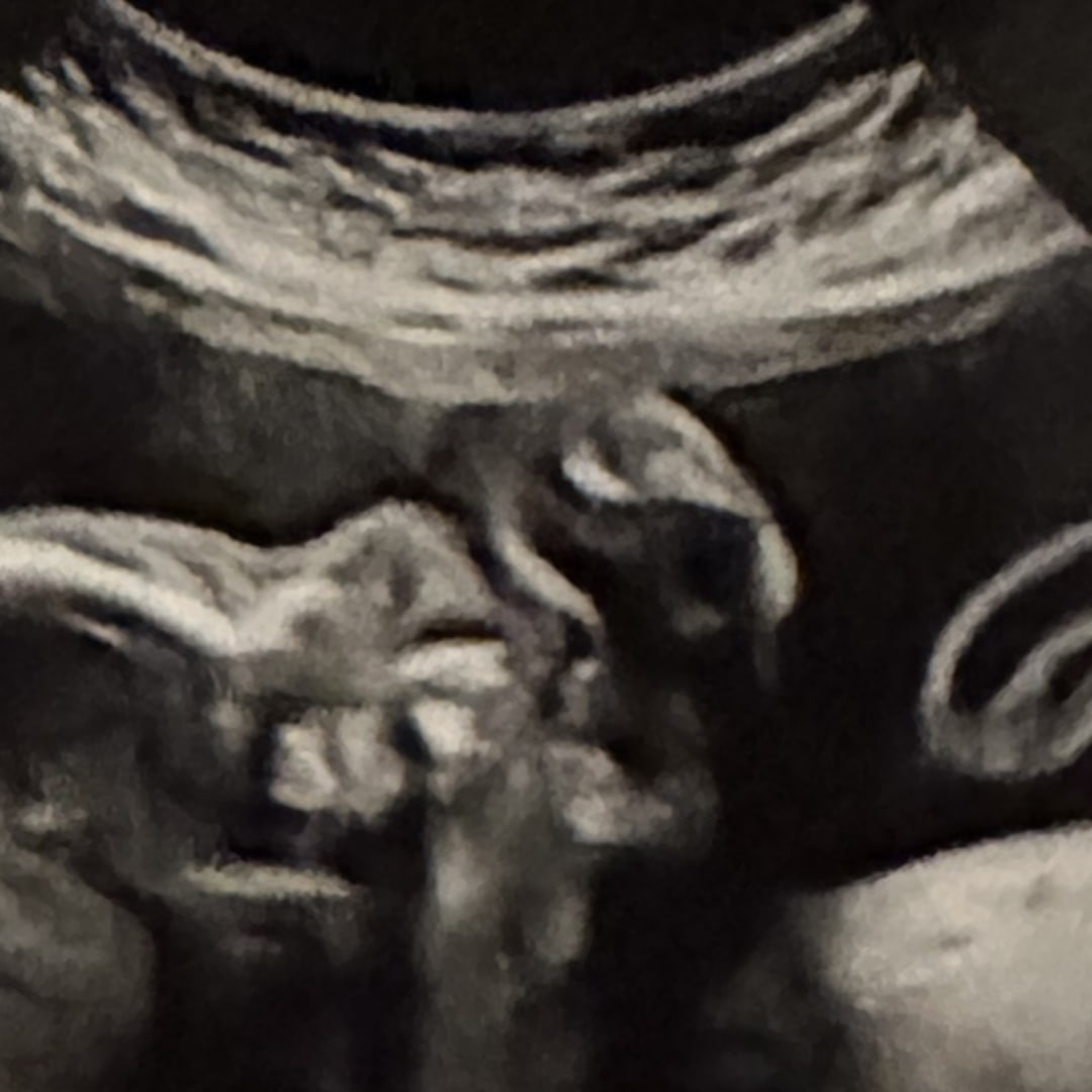 Photo shared by Ellen for their Babylist baby registry.