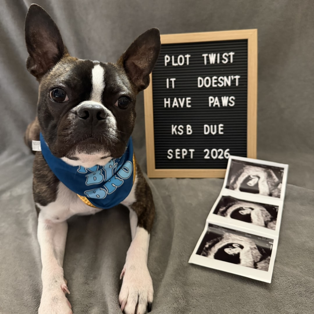 Photo shared by Gabbie for their Babylist baby registry.