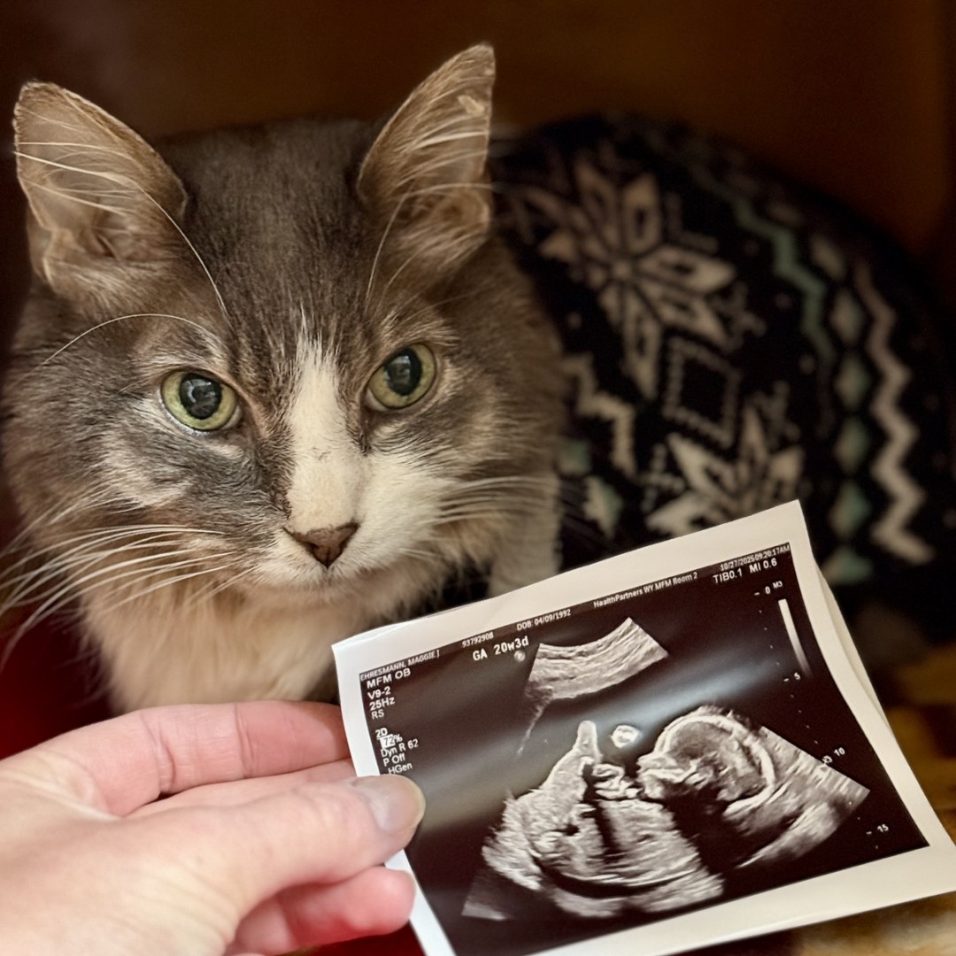 Photo shared by Maggie for their Babylist baby registry.