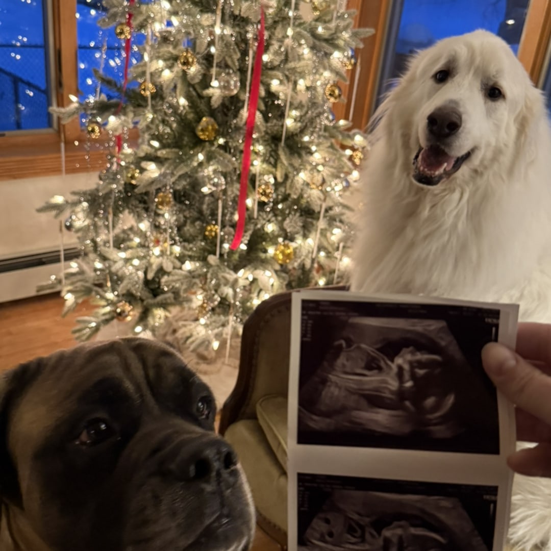 Photo shared by McKenna for their Babylist baby registry.