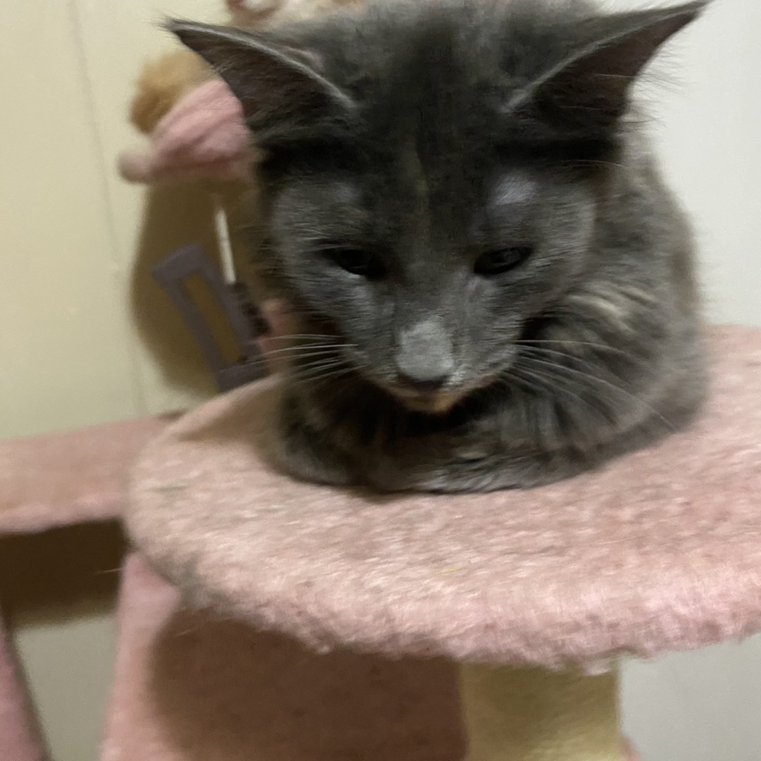 Photo shared by Amber for their Babylist baby registry.