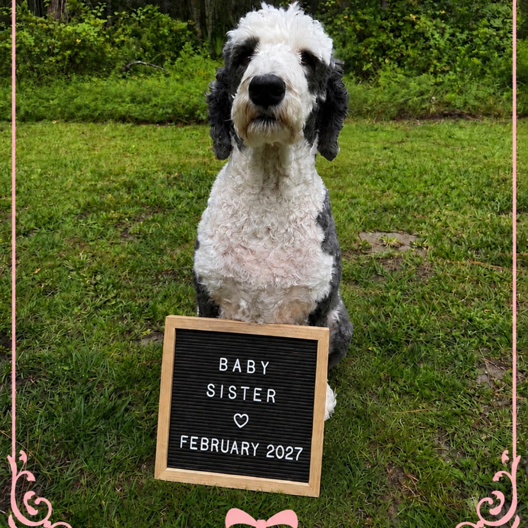Photo shared by Ashlin for their Babylist baby registry.