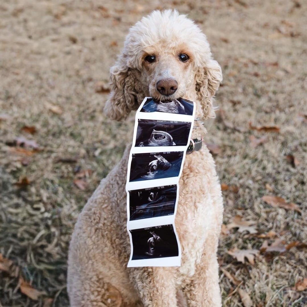 Photo shared by Ashli for their Babylist baby registry.