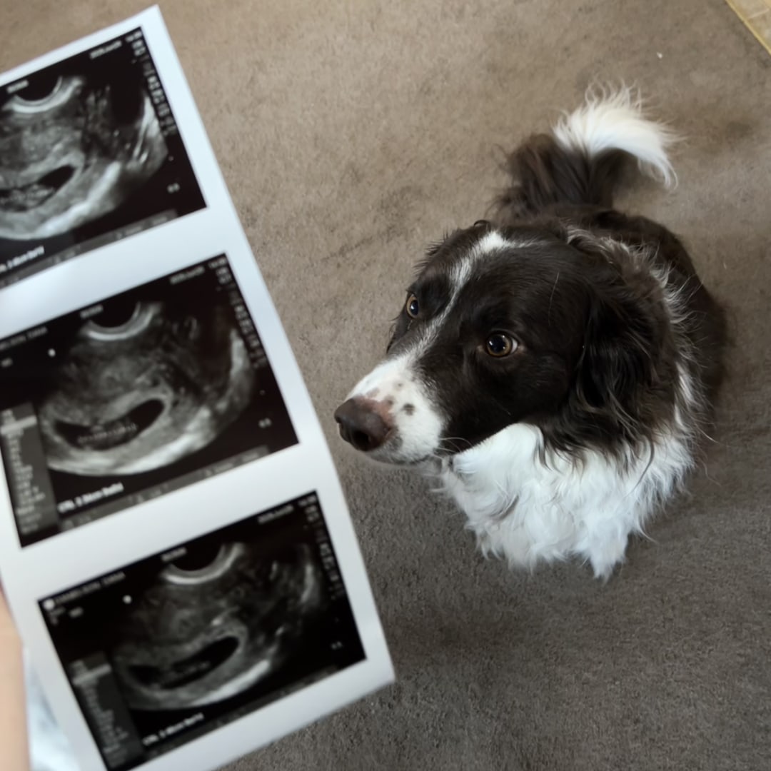 Photo shared by Dana for their Babylist baby registry.