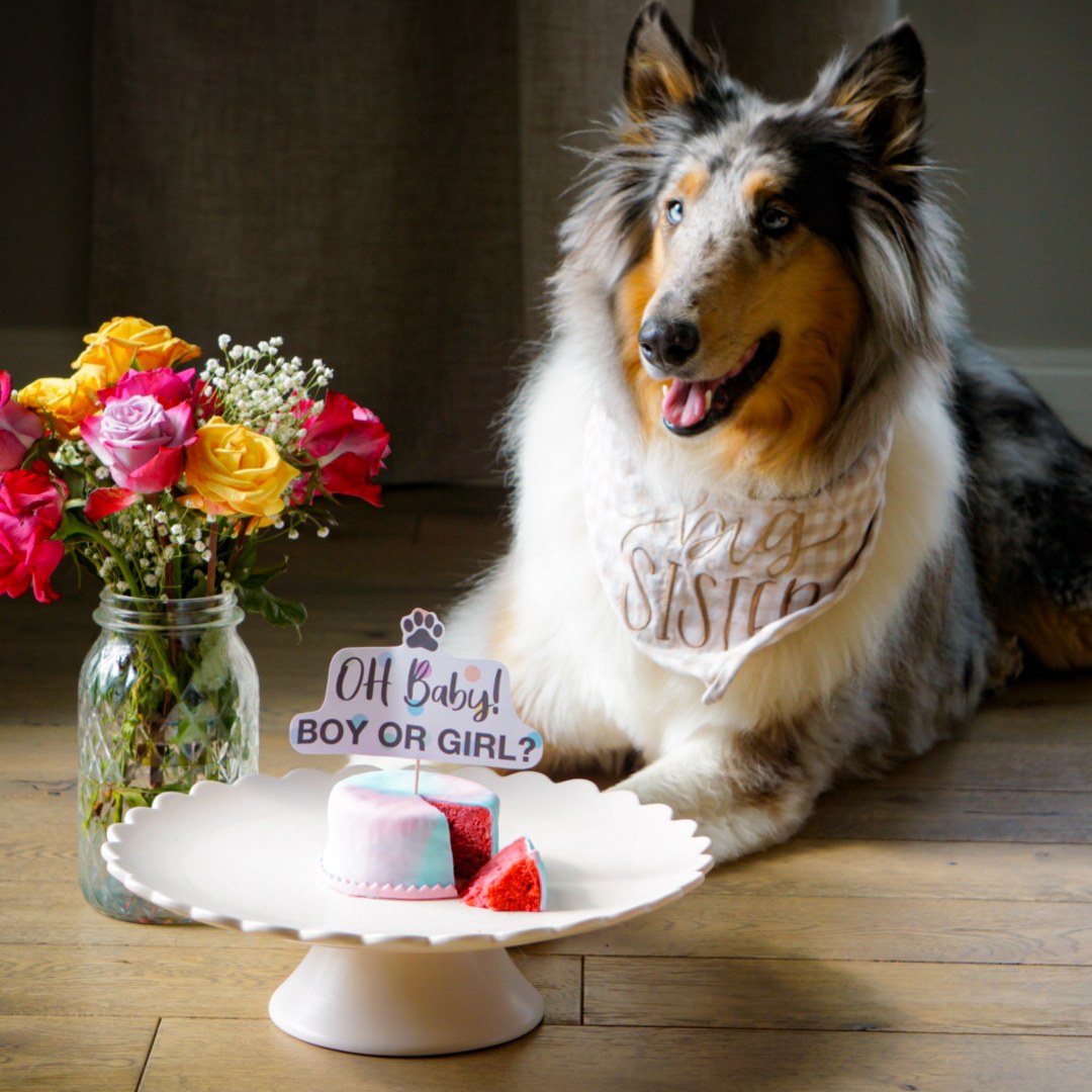Photo shared by Kayla for their Babylist baby registry.