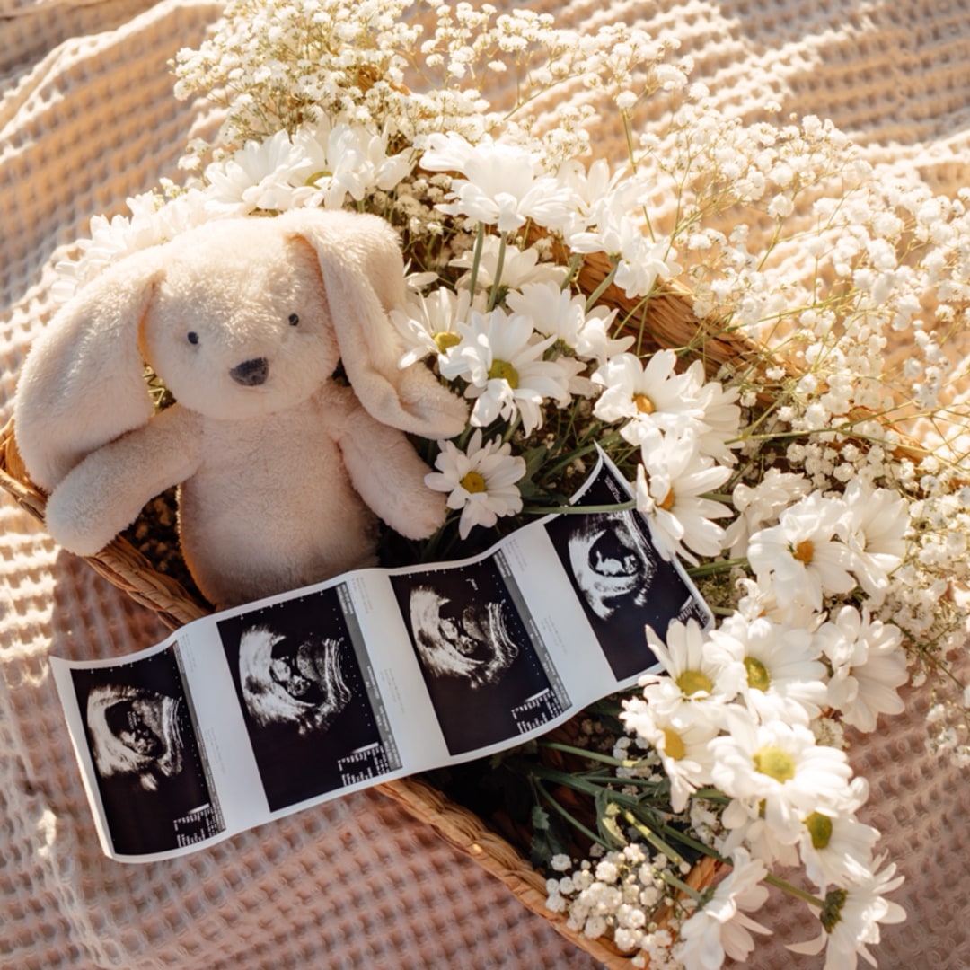 Photo shared by Camelia for their Babylist baby registry.