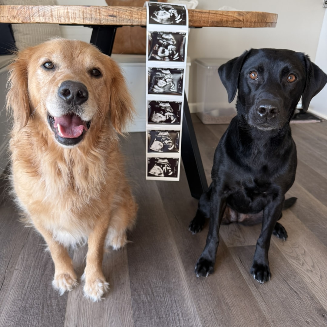 Photo shared by Brittany for their Babylist baby registry.