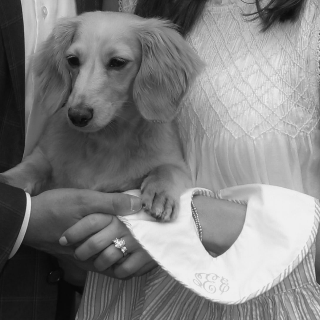 Photo shared by Shelby for their Babylist baby registry.