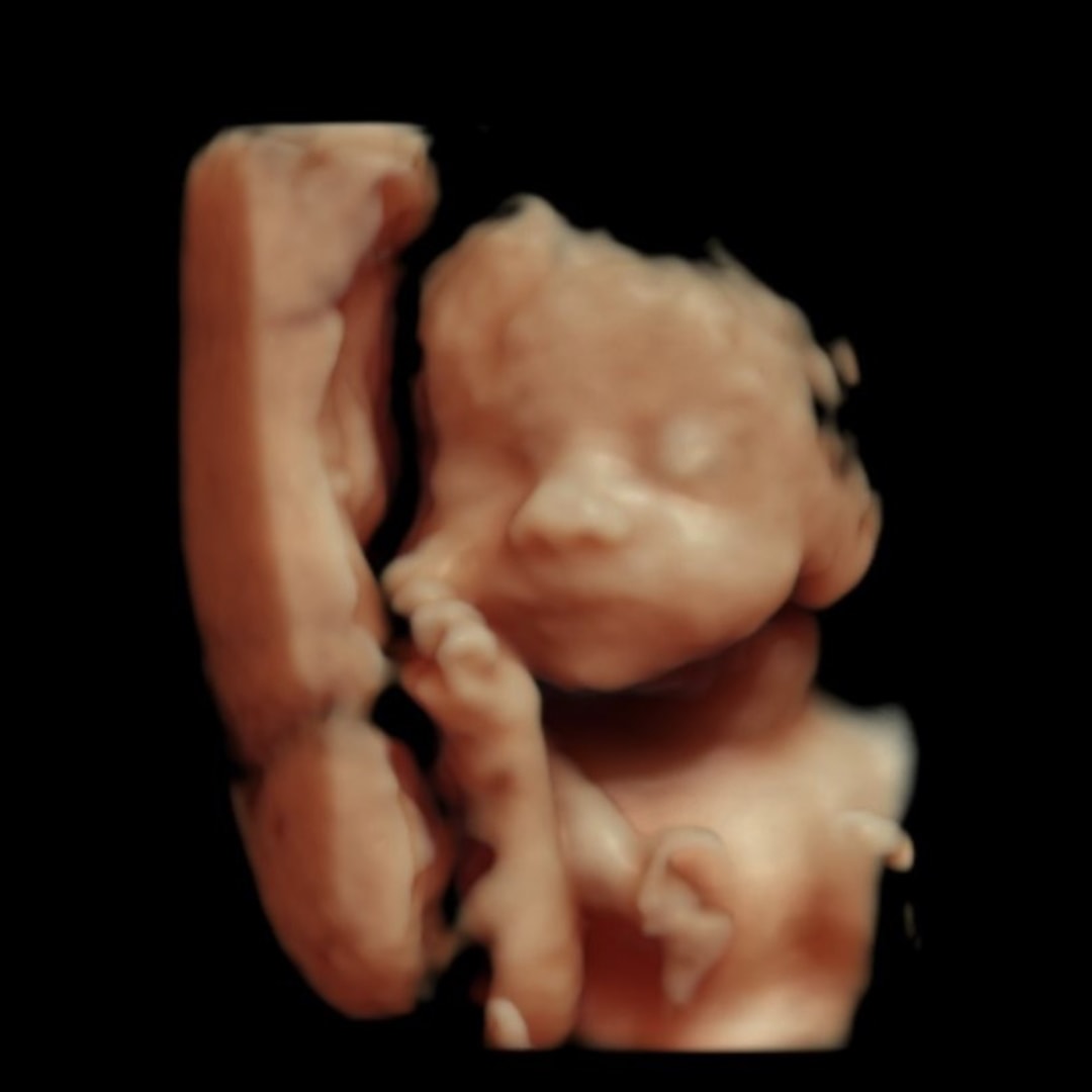 Photo shared by Rachel for their Babylist baby registry.