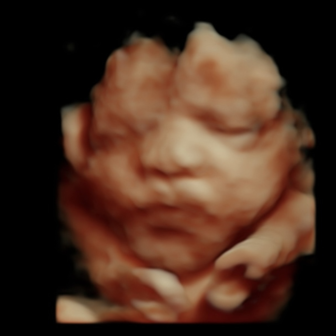 Photo shared by Camree for their Babylist baby registry.