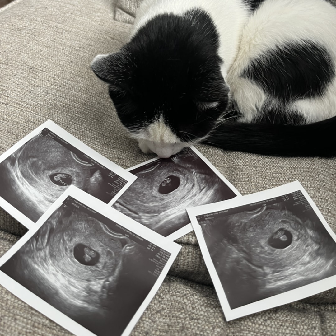 Photo shared by Erica for their Babylist baby registry.