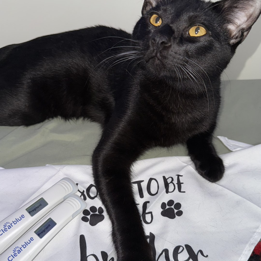 Photo shared by Daisy for their Babylist baby registry.