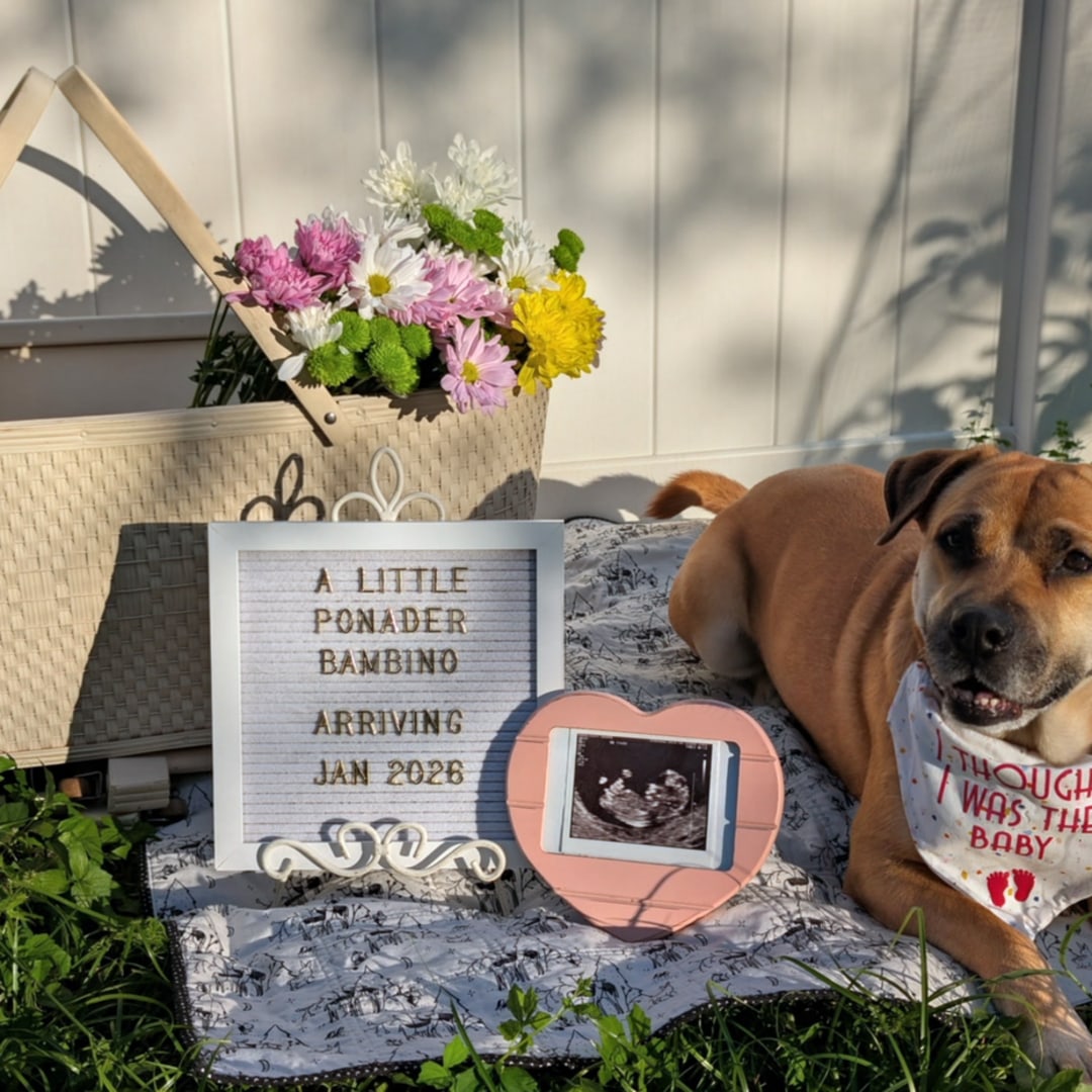 Photo shared by Alicia for their Babylist baby registry.