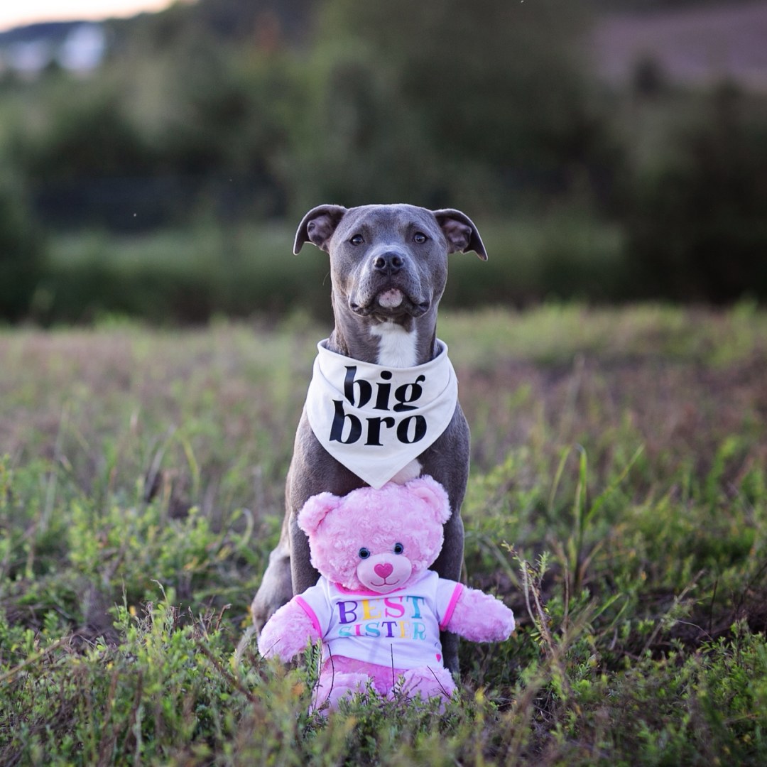 Photo shared by Gracie for their Babylist baby registry.