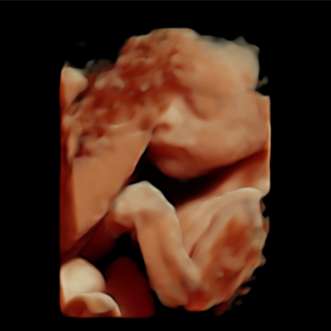 Photo shared by Erin for their Babylist baby registry.