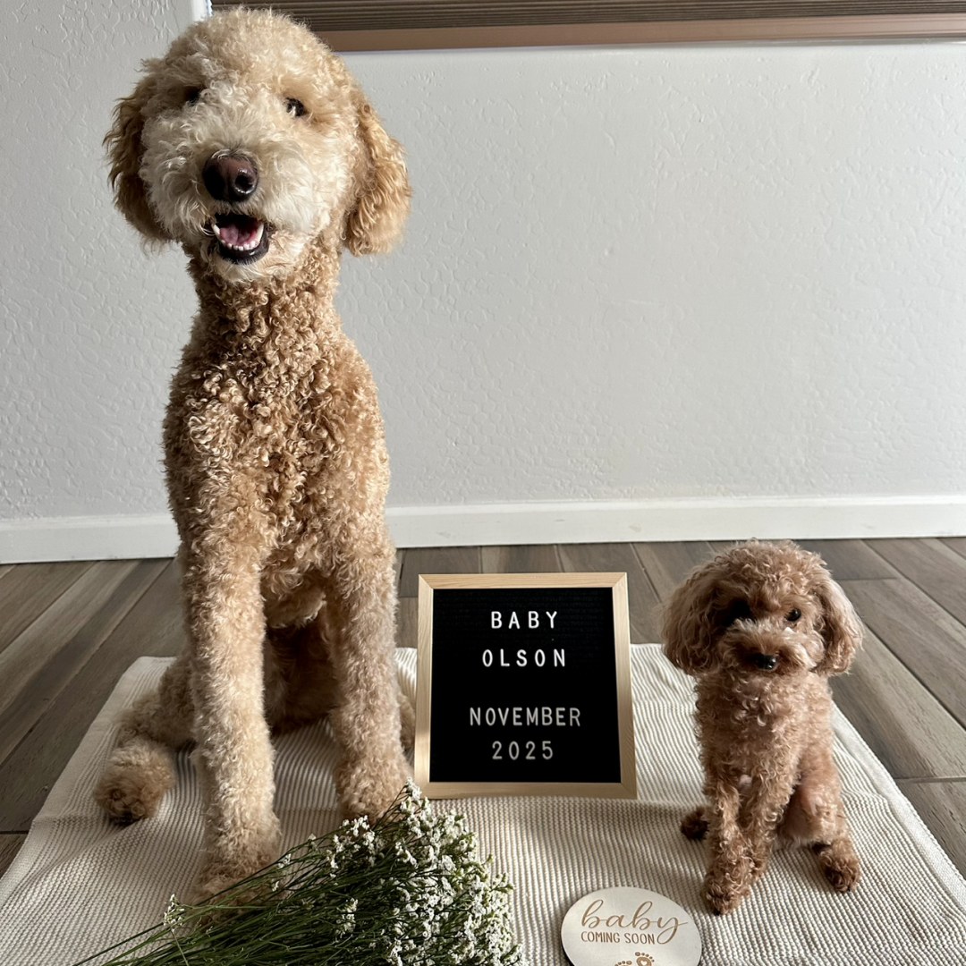 Photo shared by Rochelle for their Babylist baby registry.