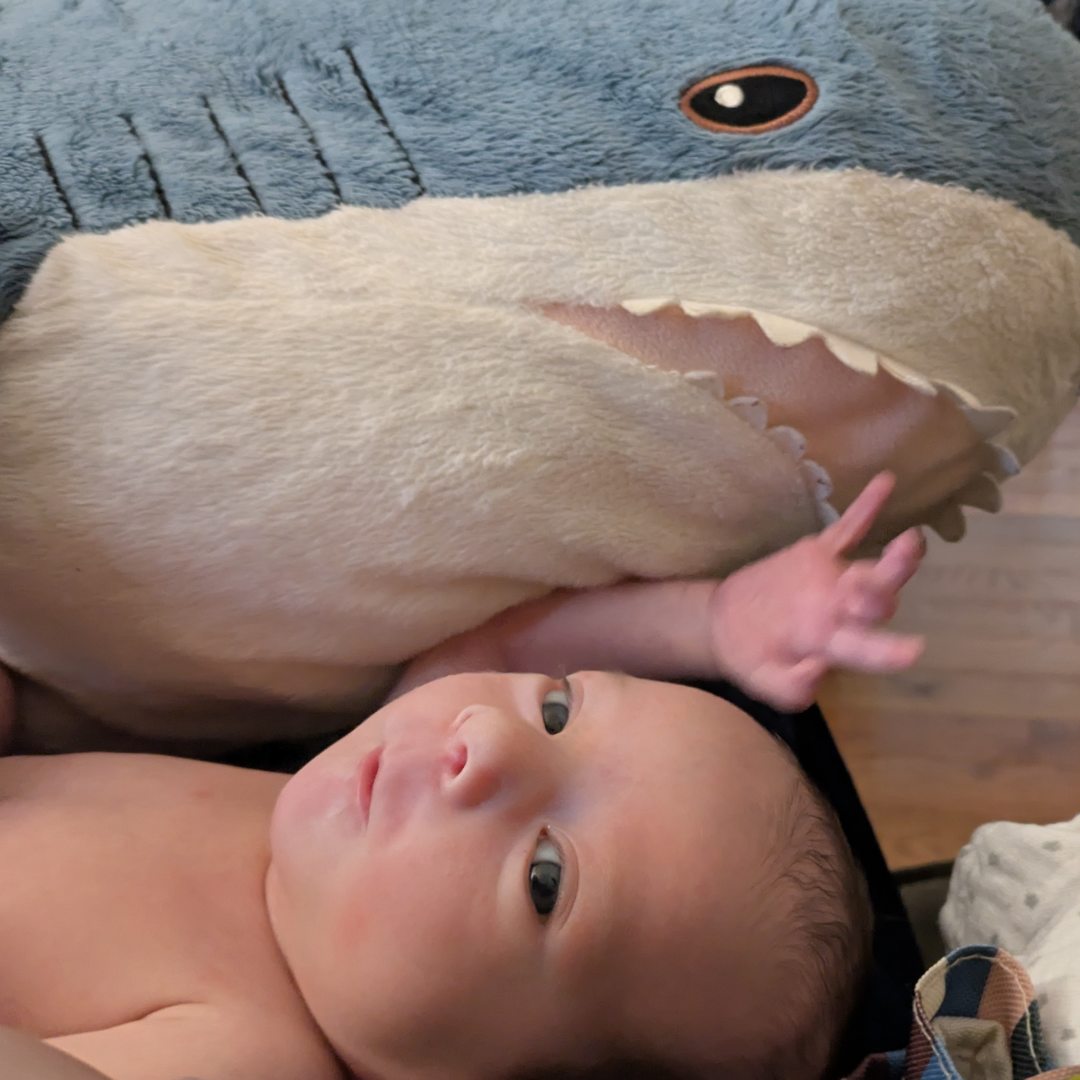 Photo shared by Amelie for their Babylist baby registry.