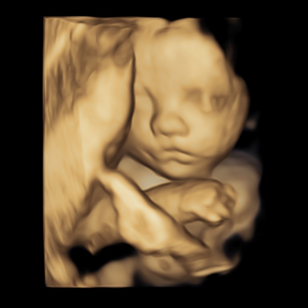 Photo shared by DeEllen for their Babylist baby registry.