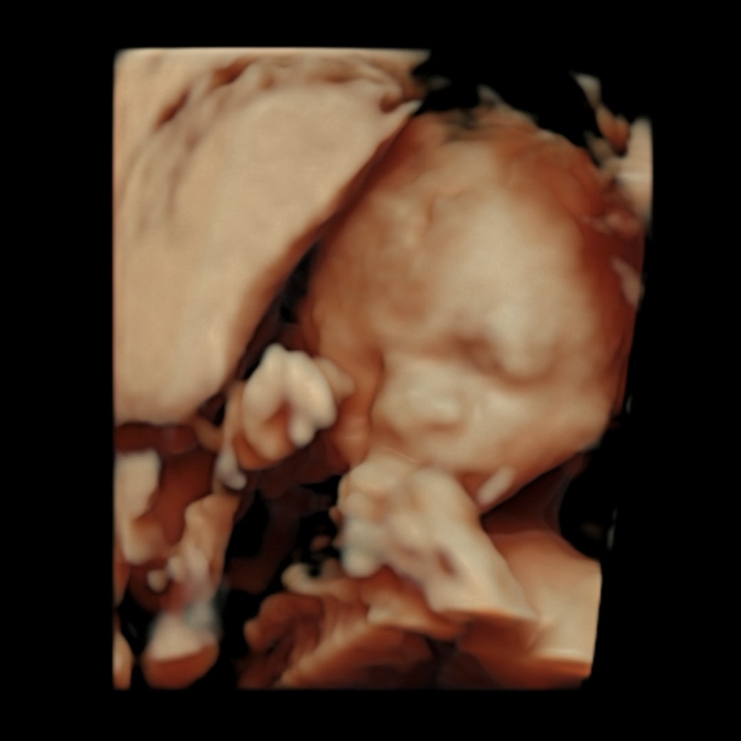 Photo shared by Dawn Ivy for their Babylist baby registry.