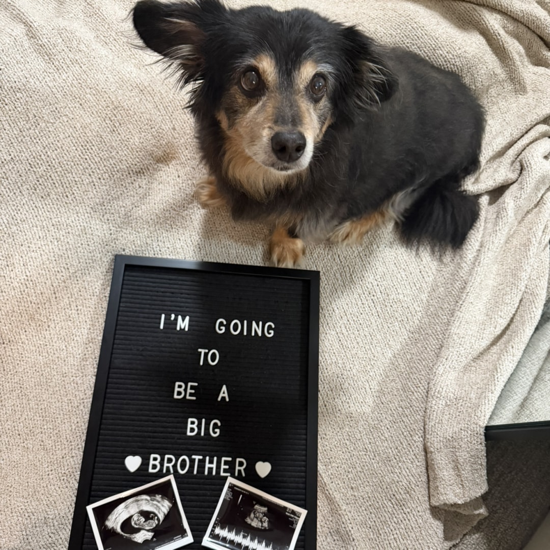 Photo shared by Zach for their Babylist baby registry.