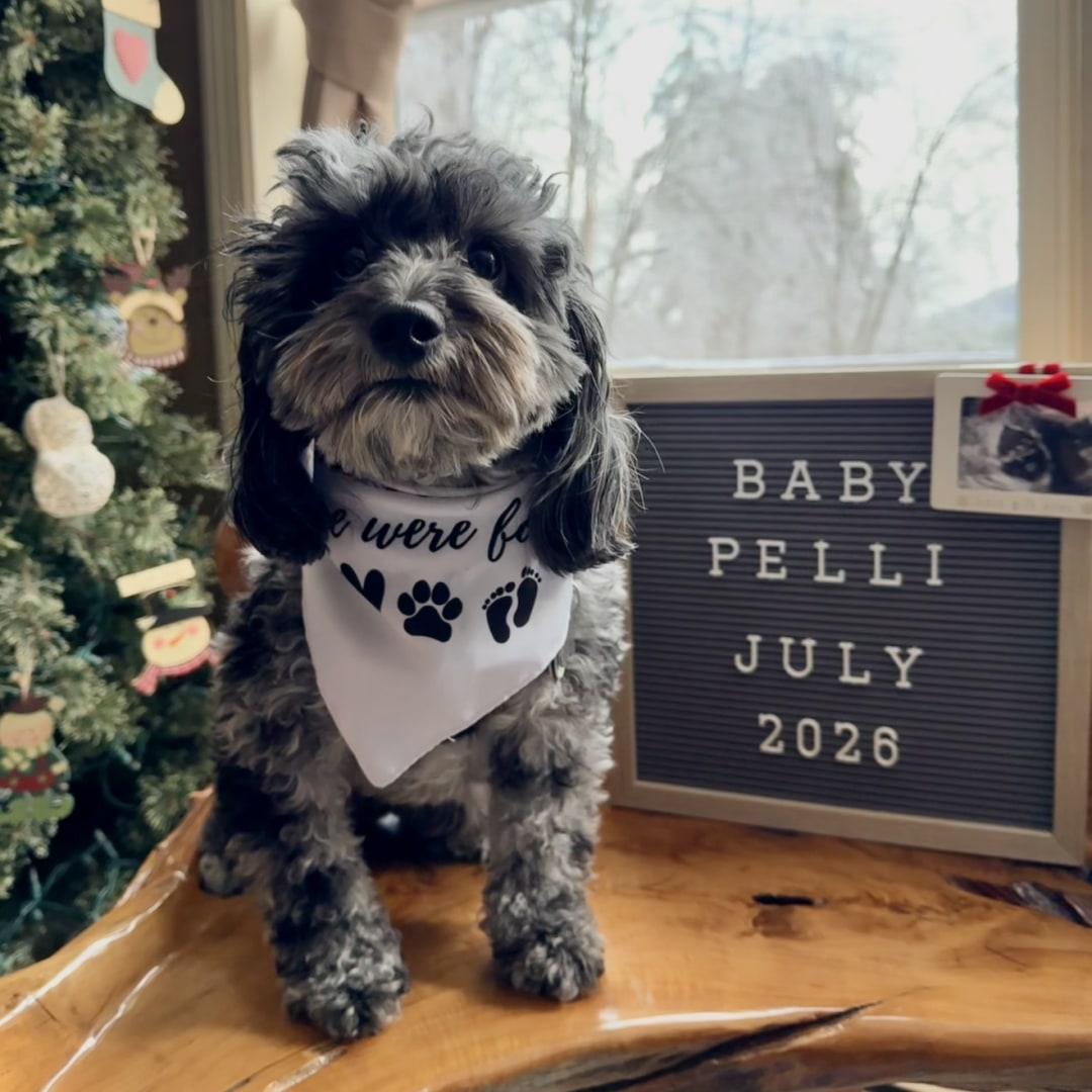 Photo shared by Jess for their Babylist baby registry.