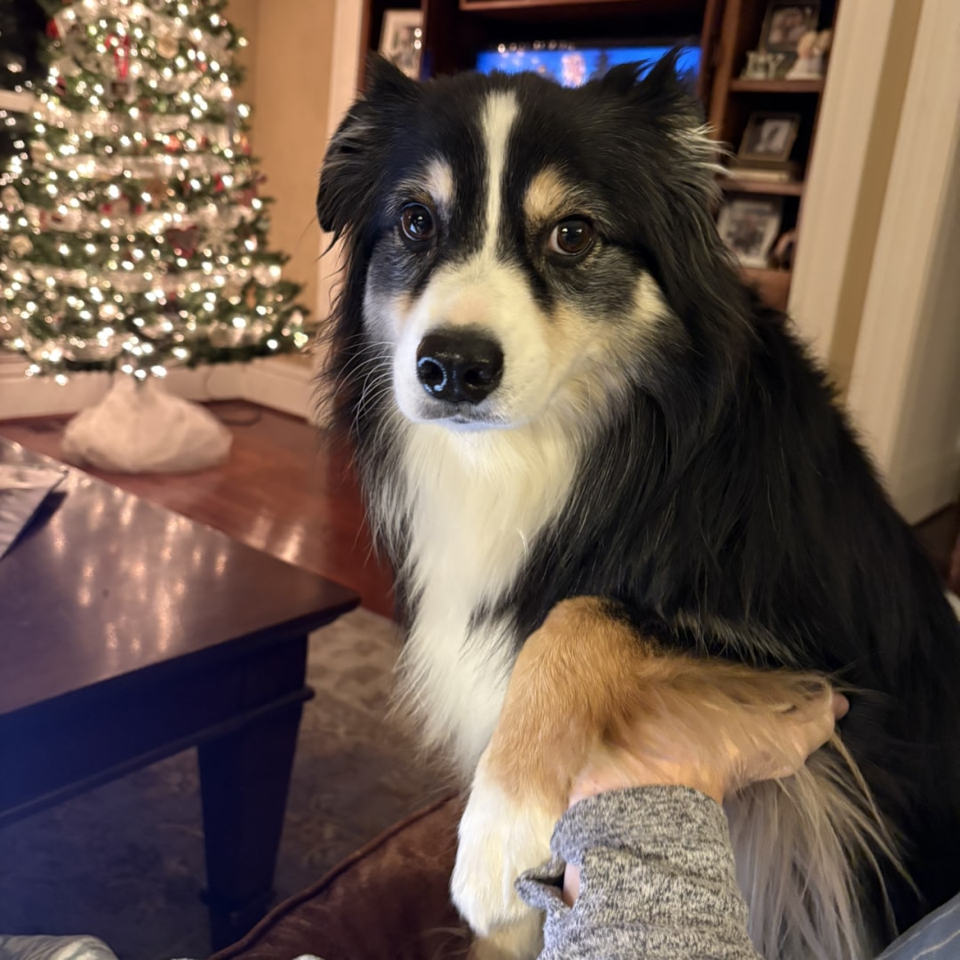 Photo shared by Rachel for their Babylist baby registry.