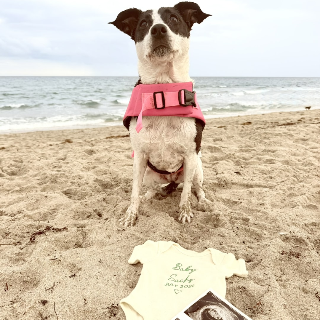 Photo shared by Bailey for their Babylist baby registry.