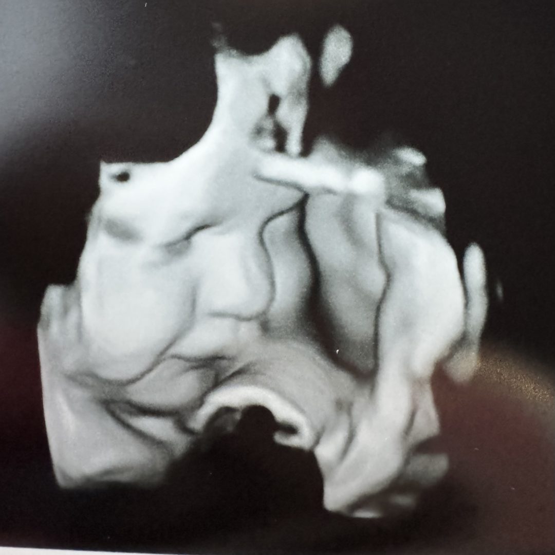 Photo shared by Katrina for their Babylist baby registry.