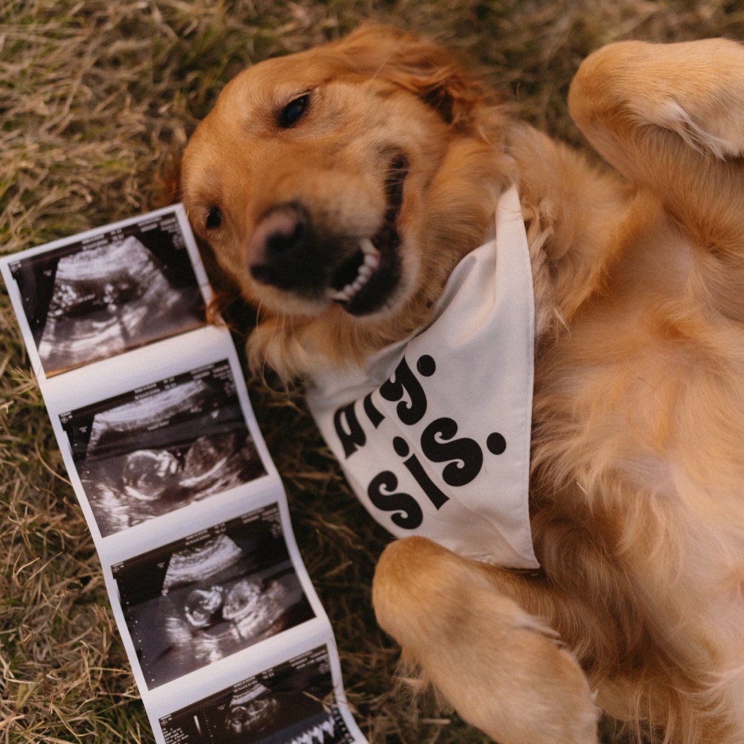 Photo shared by Ivy Adair for their Babylist baby registry.