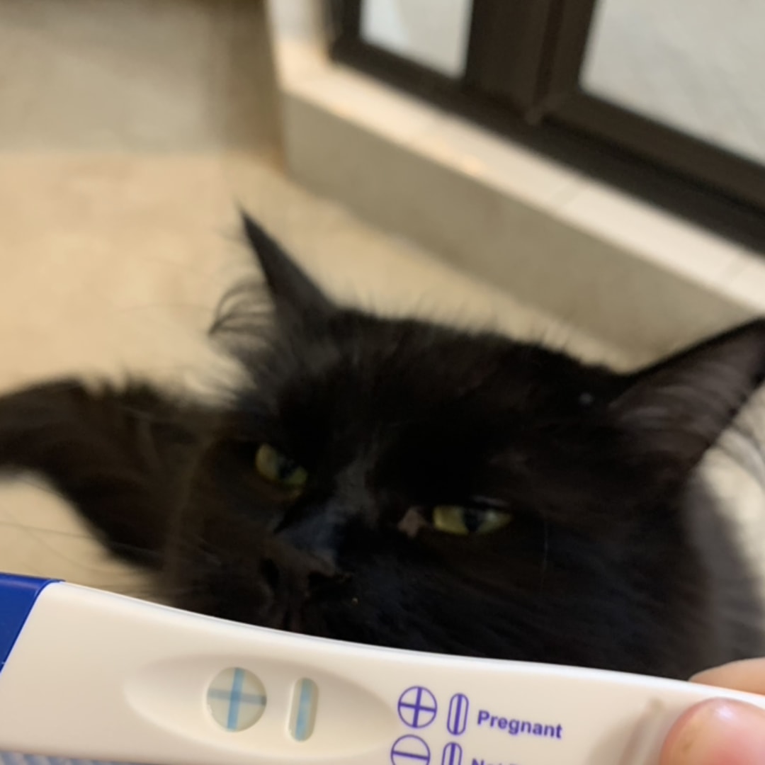 Photo shared by Katelyn for their Babylist baby registry.