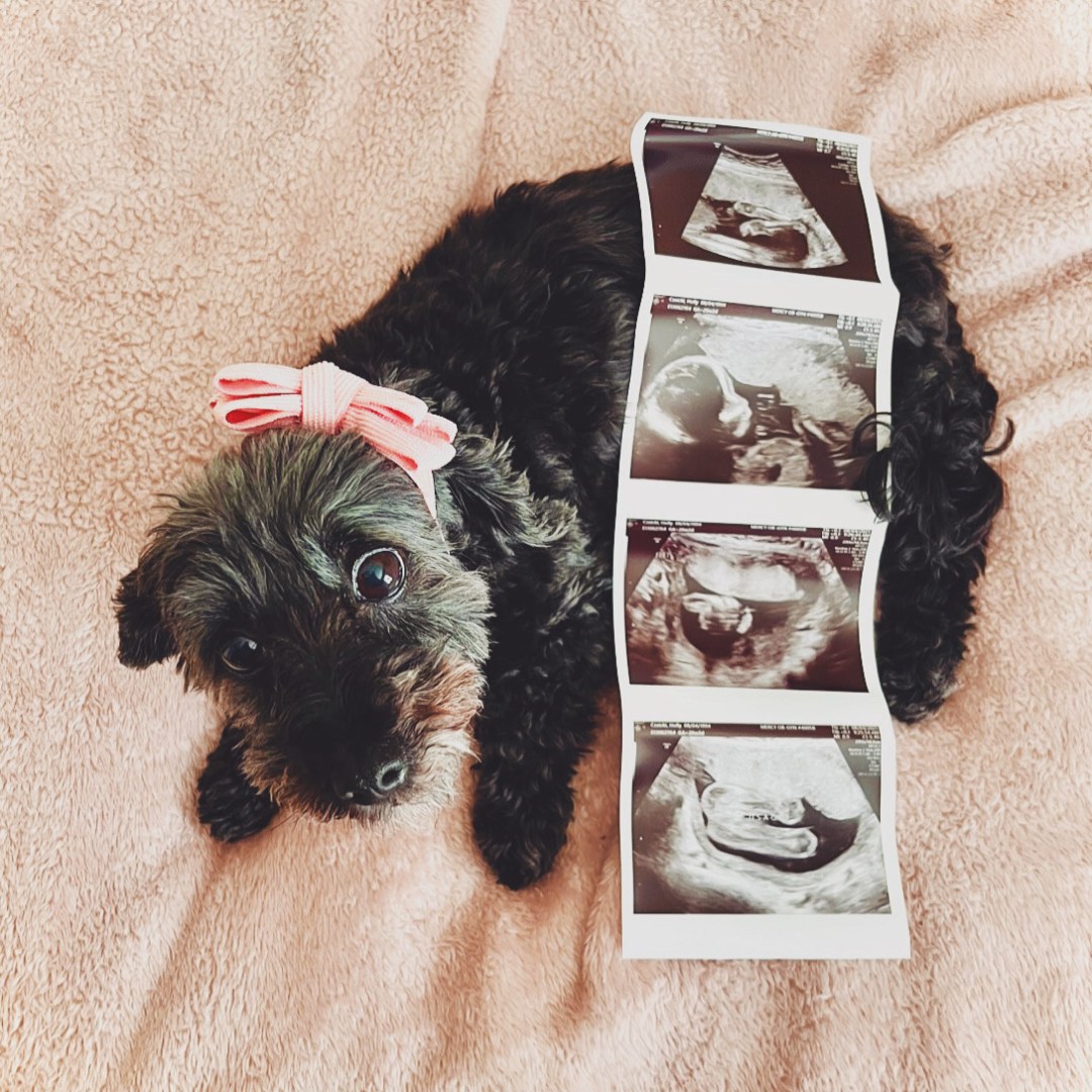 Photo shared by Holly for their Babylist baby registry.