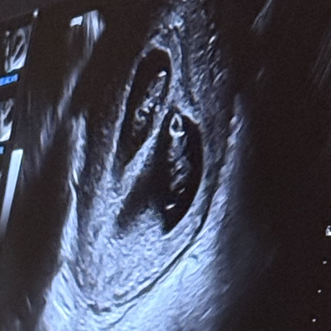 Photo shared by Kiana & Kendrick for their Babylist baby registry.